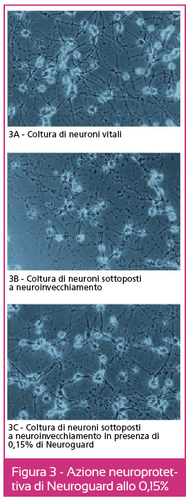 Schermata 2015-10-30 alle 16.49.15