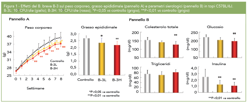 Schermata 2015-12-15 alle 15.02.05