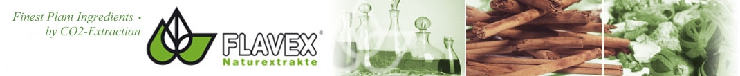 store-_0002_BANNER-INGLESE-#3