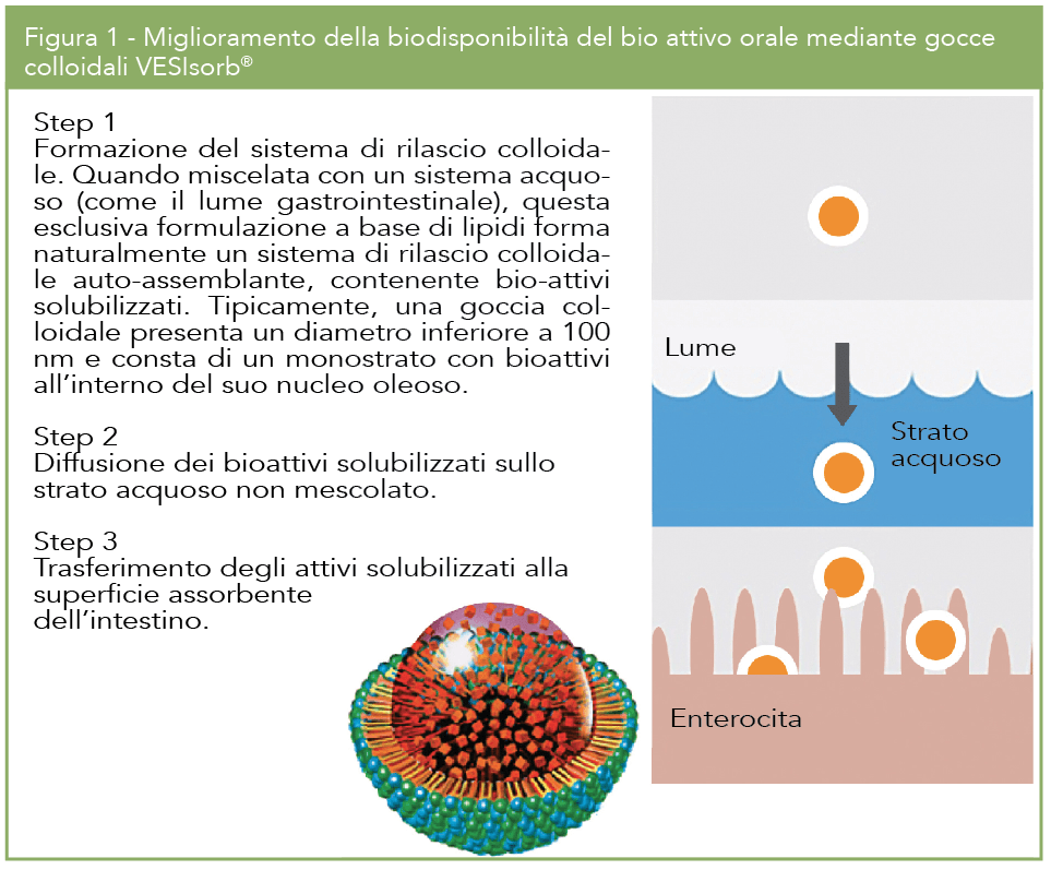 Schermata 2016-04-21 alle 10.42.03