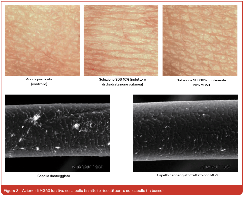 Schermata 2016-05-18 alle 10.59.34