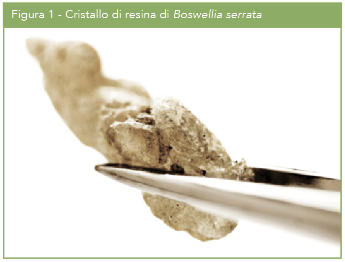 Schermata 2016-07-07 alle 10.59.45