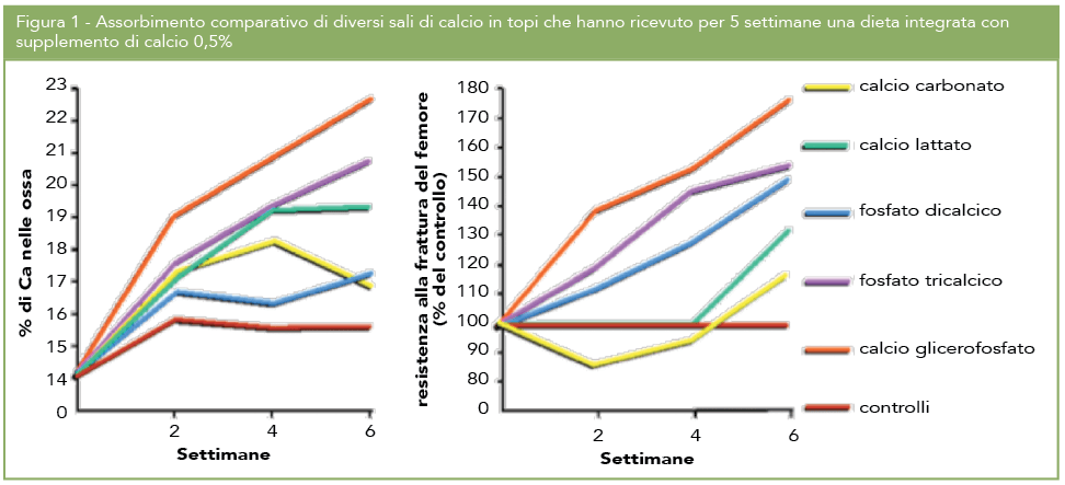 Schermata 2016-07-07 alle 11.21.02