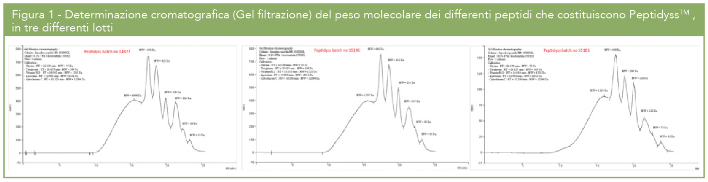 Schermata 2016-10-13 alle 11.26.08