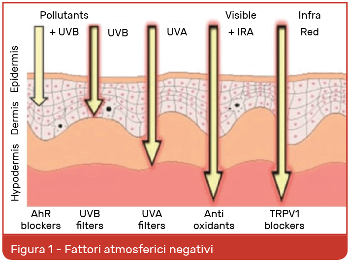 Schermata 2016-10-18 alle 15.24.53
