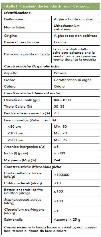 Schermata 2017-06-22 alle 11.00.24