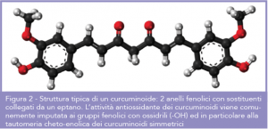 Schermata 2017-10-31 alle 12.26.58