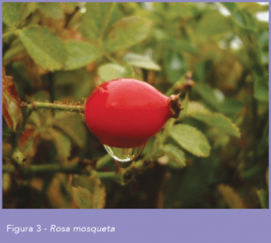 Schermata 2017-10-31 alle 12.27.17