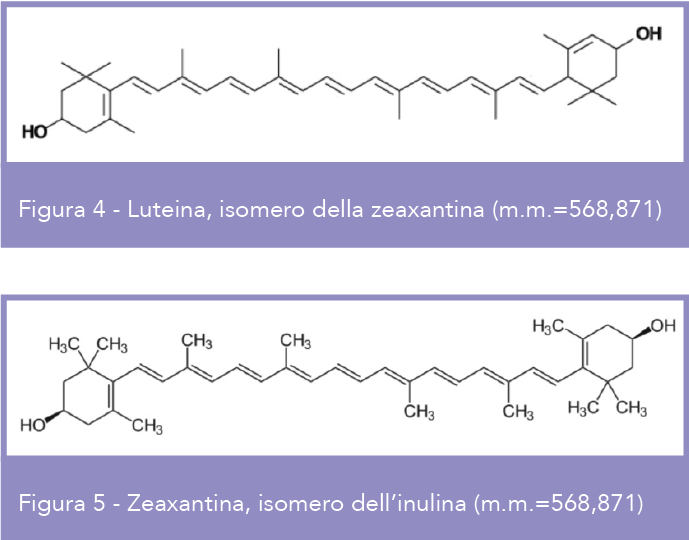 Schermata 2017-10-31 alle 12.27.36