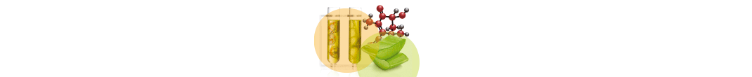 Banner_1070x110px_Nutraceuticals_2023